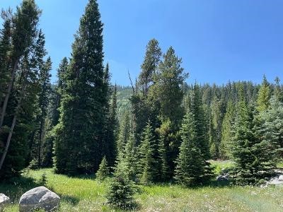 Cascade Sub. - Big Sky - Land