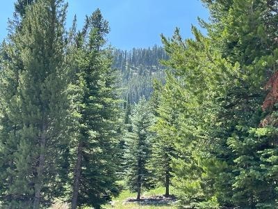 Cascade Sub. - Big Sky - Land