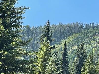 Cascade Sub. - Big Sky - Land
