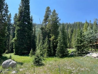 Cascade Sub. - Big Sky - Land