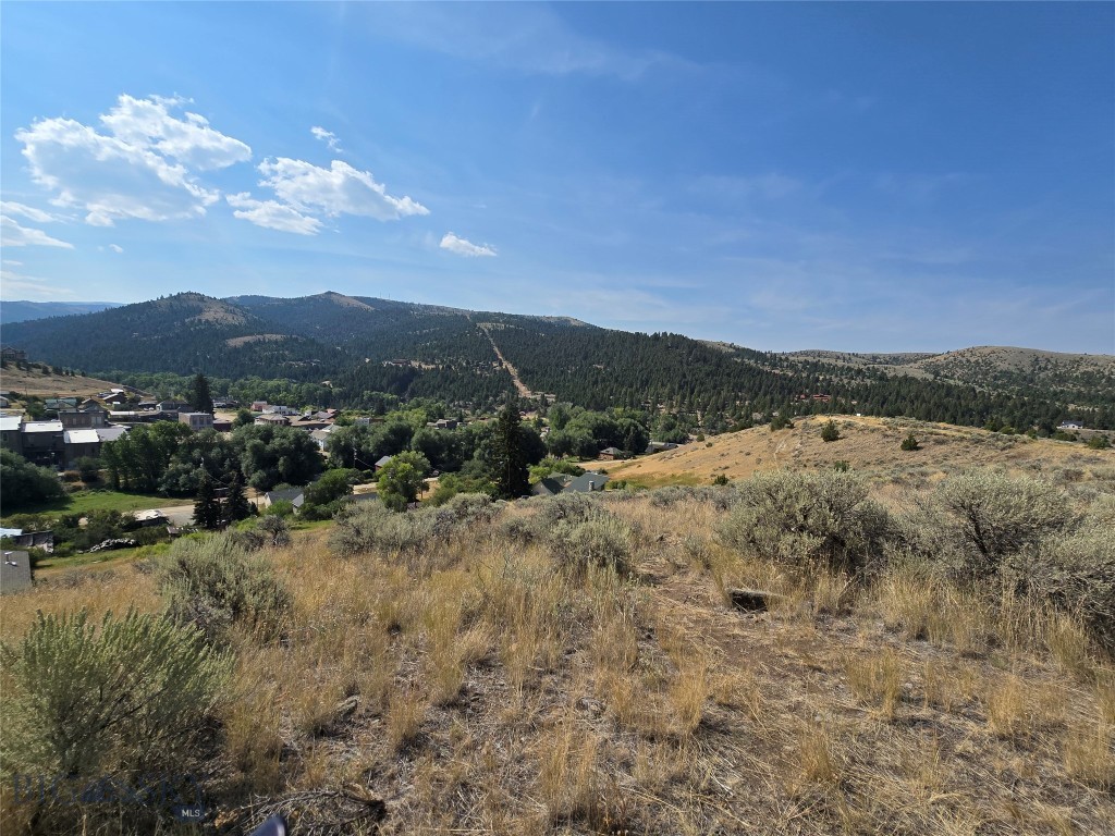 Virginia City Original Plat - Land