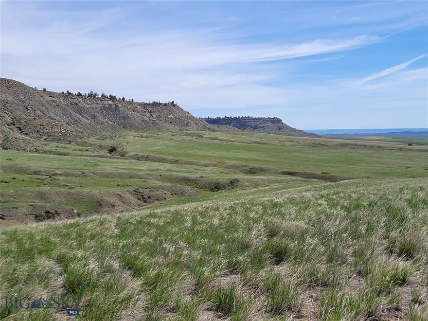 160 acres with creek, only 15 minutes from Billings, the largest population center in Montana! And yet, when you arrive at Wheat & Rims Ranch, you will feel like you are in rural Montana. Views of Red Lodge Ski Area and several surrounding mountain ranges! Broker owned. Portions of the ranch have been tilled and farmed over the past decades. The nicely tilled land would be a nice place for horses or other grazing animals. County road access, electric on site. Ask about seller financing options! Adjoining 160 acres to the east and the west giving option to own 480 total acres.