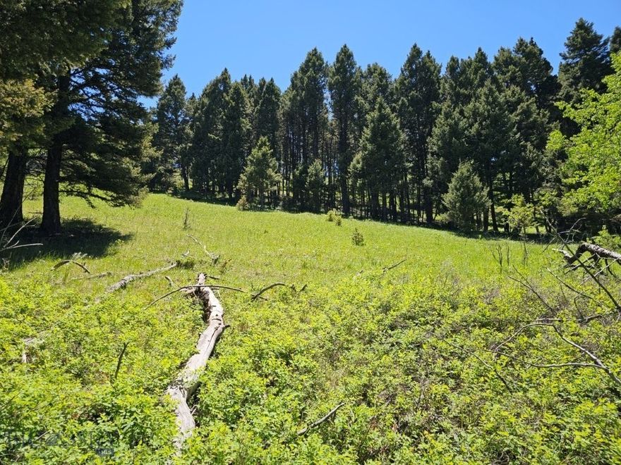 4.8 Acre Montana property bordering public land with a beautiful, leveled cabin or home site tucked away in the trees. Being that this property borders BLM land, you have more land to hunt, hike, and enjoy right out your back door. It’s like you’re buying way more land you can take advantage of that’s right there next to your own property. Talk about stretching your dollar and making it work more for you. There are elk and deer on the property at times, and a good herd of both in the area, so owning this property and bordering the additional BLM land gives you all the more opportunity to see them and hunt them if you’d like. And there’s National Forest too, within 1 ½ miles of the property. It’s a short drive or ATV ride, and you’ve got tens of thousands of acres of both the Helena and Beaverhead Deerlodge National Forests you can hunt, hike, and explore. This property puts you right out there in the mountains on the edge of all these vast amounts of public lands, and you can take advantage of them any time you take a notion. There’s a healthy herd of elk in the area, as you’ll see when you’re there, and there’s elk sign and trails to prove it. The property is in Hunting District 335, where there are general over-the-counter deer and elk tags and a second cow elk tag that can be drawn, since there are so many elk in the hunting district. So there’s lots of opportunity year after year. And you’re just across the highway from the fabled Hunting District 380 in the Elkhorn Mountains with its limited elk permits and huge bulls. These elk cross into Hunting District 335, too, which might put them right in your backyard, where you can be ready to hunt the big ones. A building site has already been leveled on the property, so it’s ready to build your dream home or cabin in the woods. The setting is fantastic. There’s mature timber all around the building site and quaking aspen trees just below it, too, for plenty of shade and screening. A county road comes through a corner of the property, providing great access to your private driveway with a private gate for privacy.