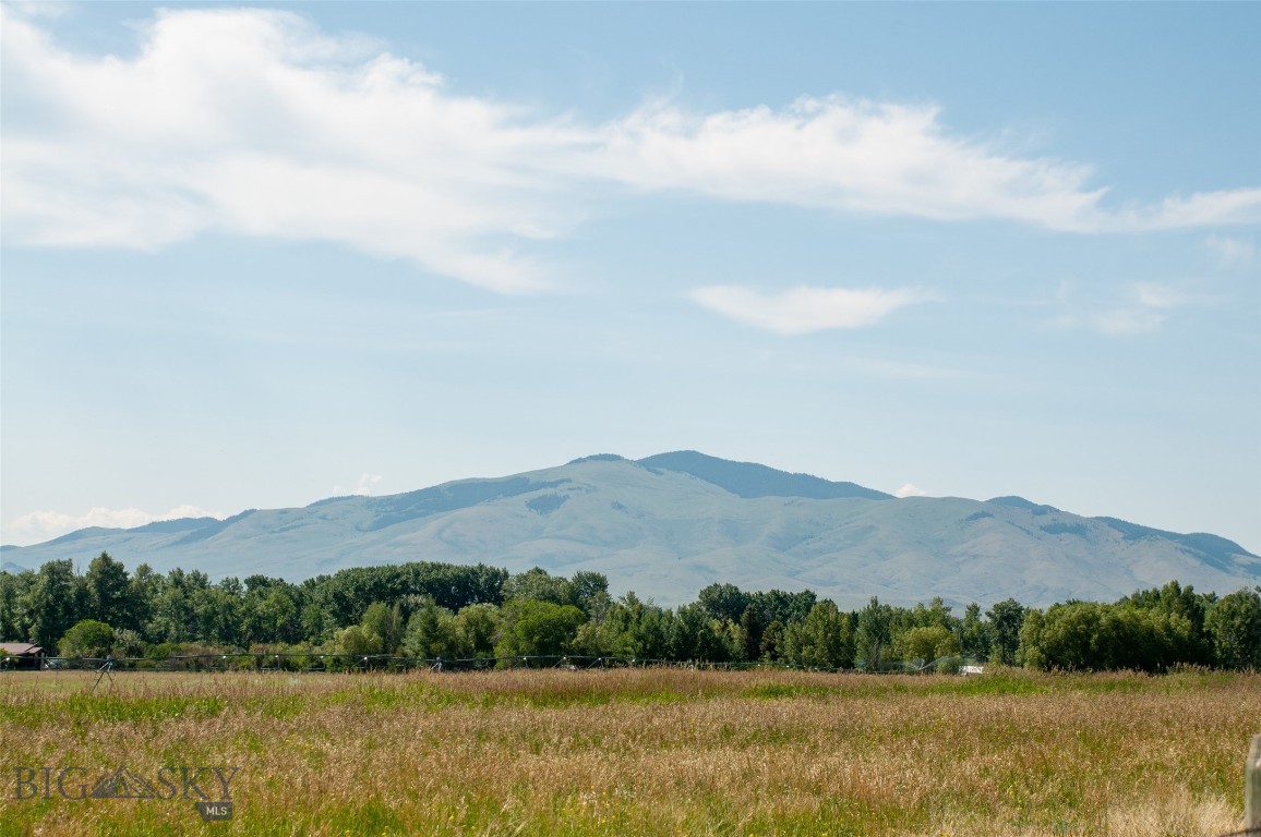 Other - Land