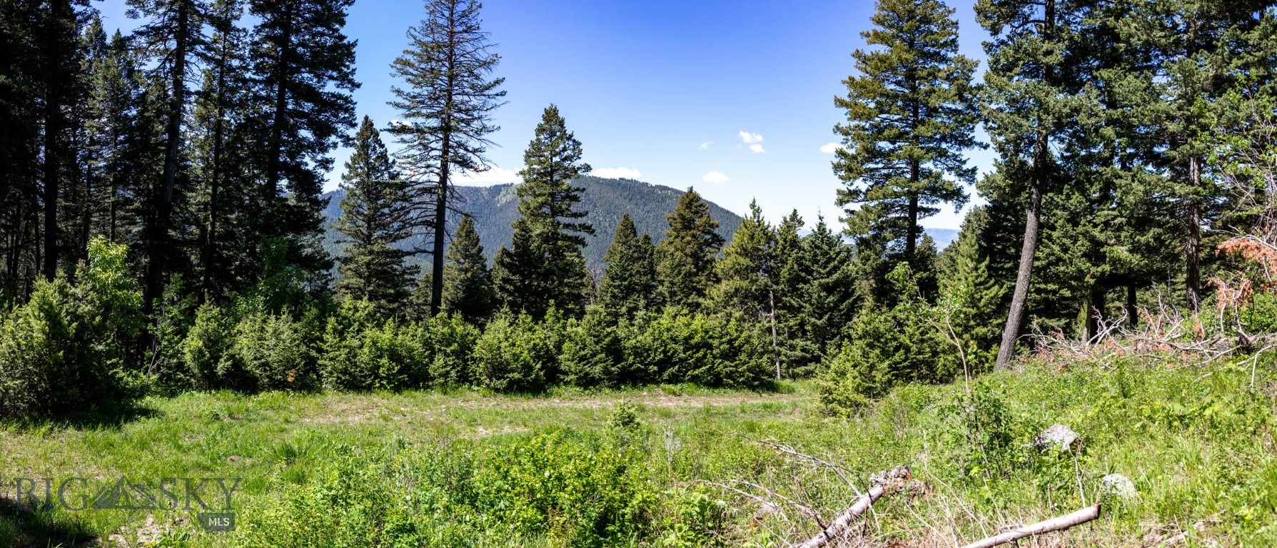 Other - Land