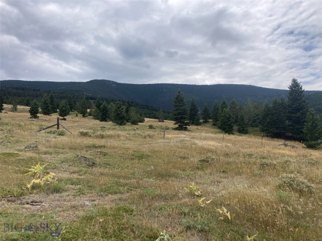 Yellowstone Basin Properties - Residential