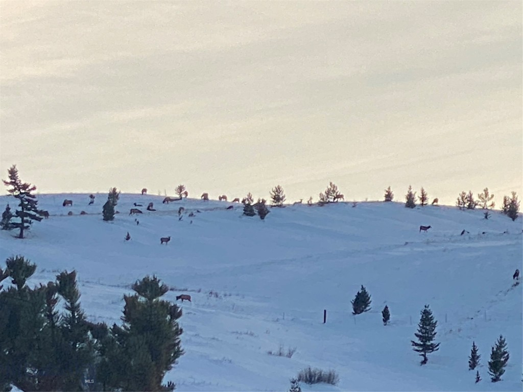 Yellowstone Basin Properties - Residential
