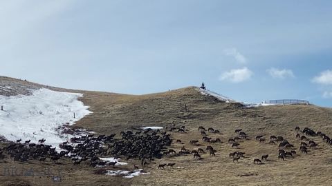 86 Pony Lane Livingston MT 59047