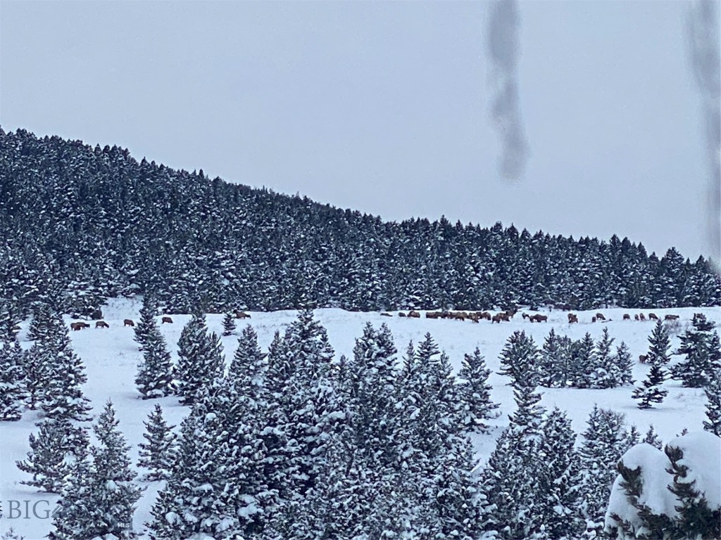 Yellowstone Basin Properties - Residential