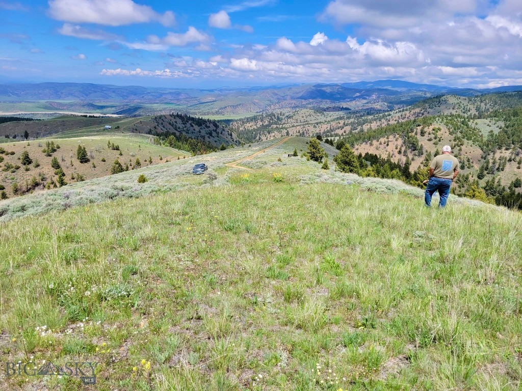 Ponderosa Pines - Land