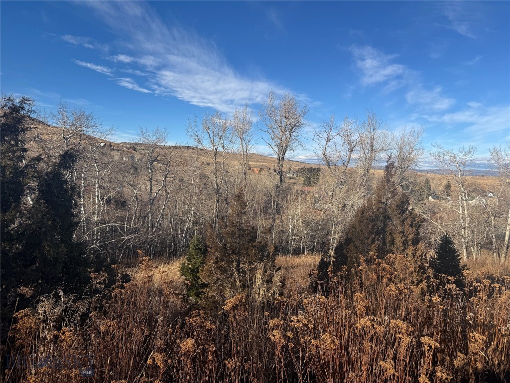 Pony Original Plat - Land