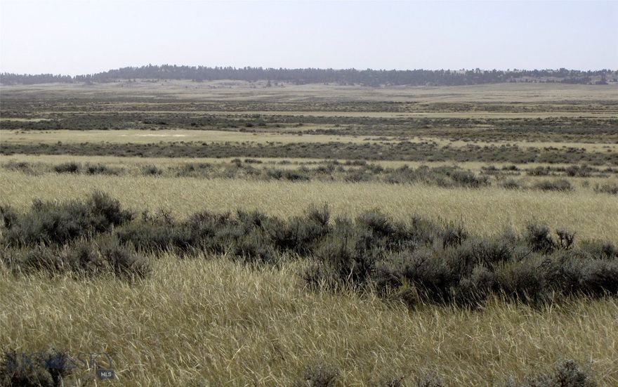80 acres of Montana grassland and sagebrush just 20 miles north of Billings where the deer and the antelope play. The adjoining 80 acres to the north is also available for the same priced-- 160 acres for $179,800! Only 2.5 miles east of the state highway, then south a half mile on an easement (not built); lots of potential for a private get away. Was homesteaded in 1920. Access is via Lindstrom Road and then a private easement, but buyer will need to do their own investigation and due diligence regarding the easement and access to property. Transmission power lines cross the adjoining northern 80 acres, but not this parcel. The 80 acre parcel to the north (MLS#397946) is also available. An easement crosses the northern 80 acres to provide access to this property. No known covenants, no zoning. Come enjoy some great views of Big Sky country where the deer and the antelope roam.