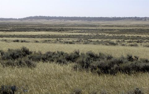 Photo of tbd Lindstrom Road, Shepherd, MT 59079 (MLS # 405391)