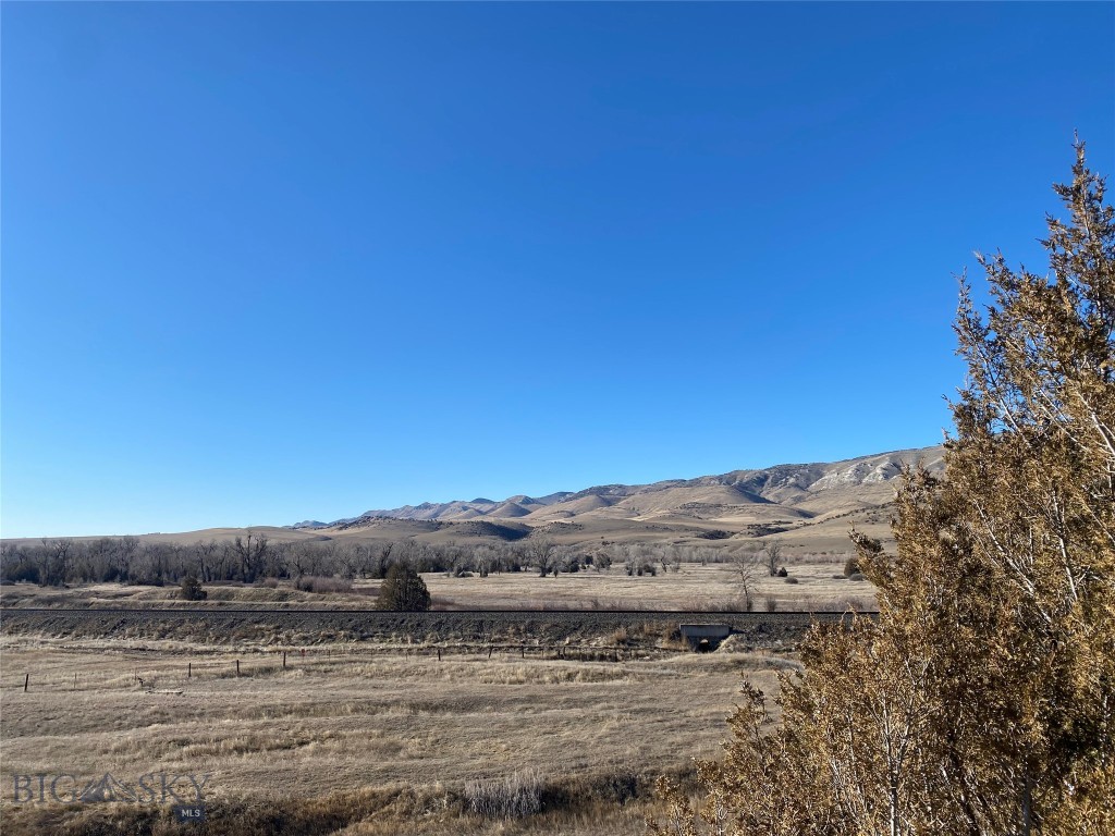 Ponderosa Pines - Land