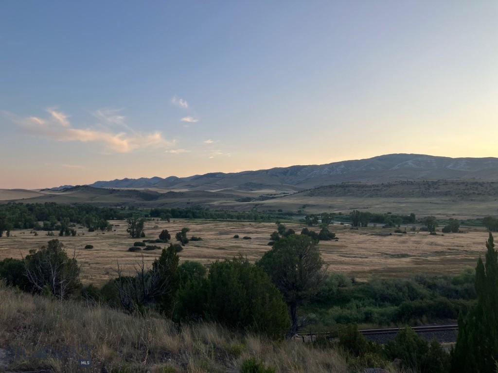 Ponderosa Pines - Land