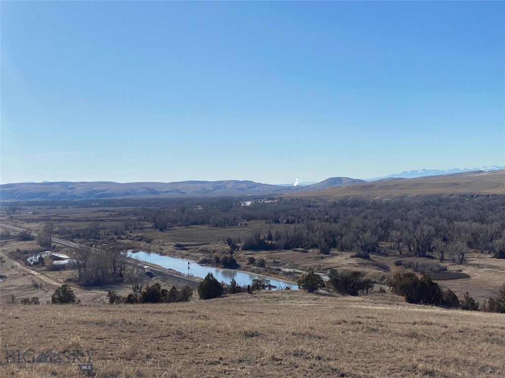 Ponderosa Pines - Land