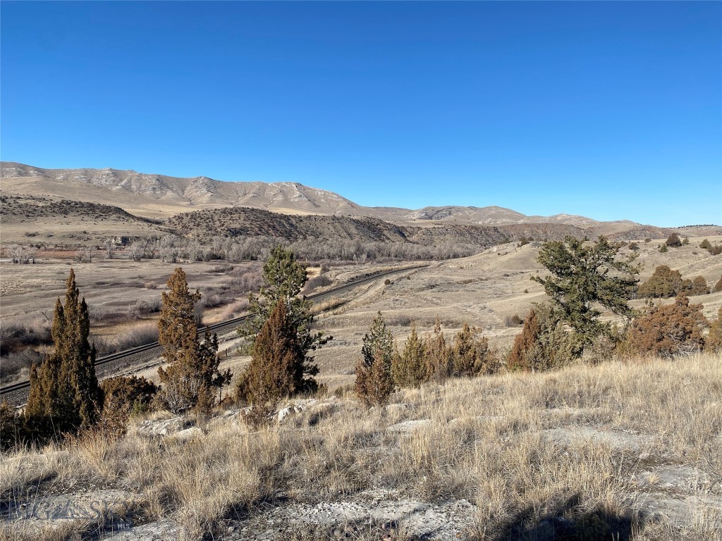 Ponderosa Pines - Land