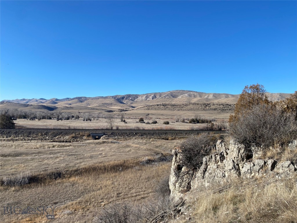 Ponderosa Pines - Land
