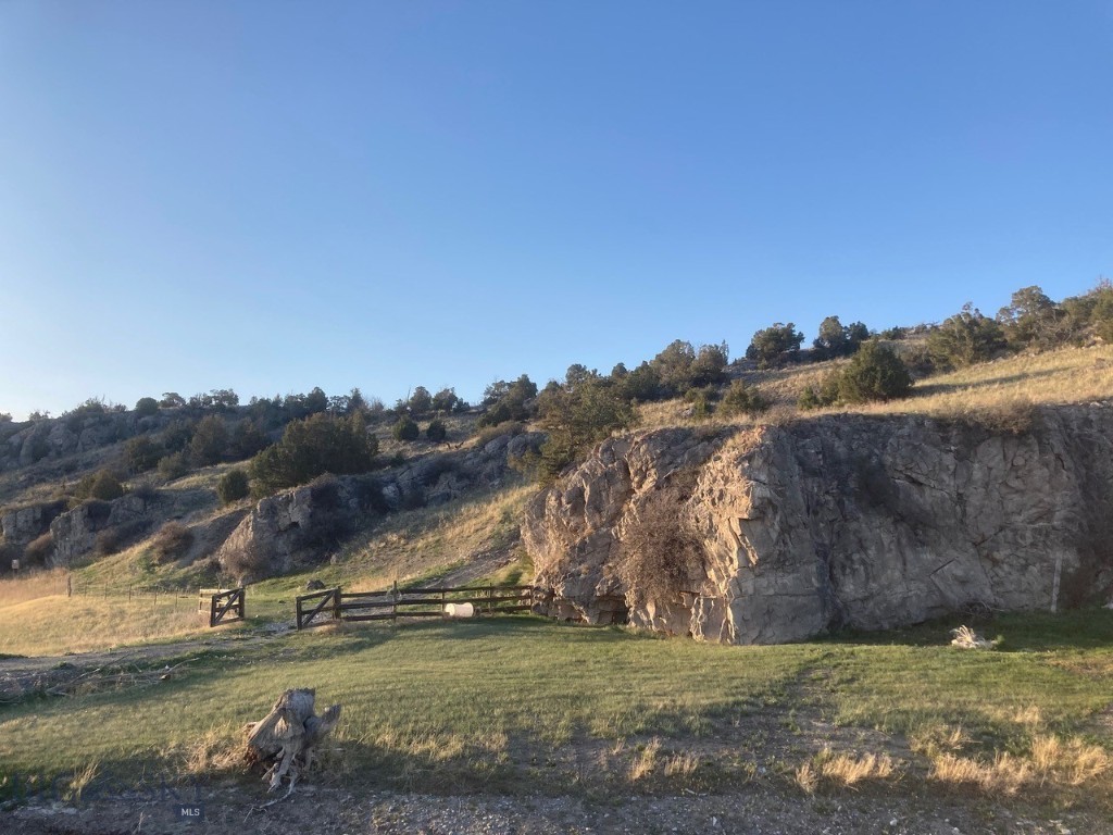 Ponderosa Pines - Land