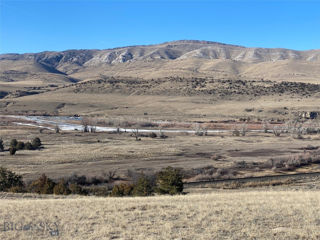 Ponderosa Pines - Land