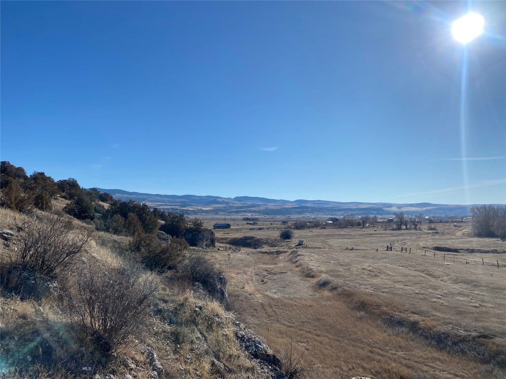 Ponderosa Pines - Land