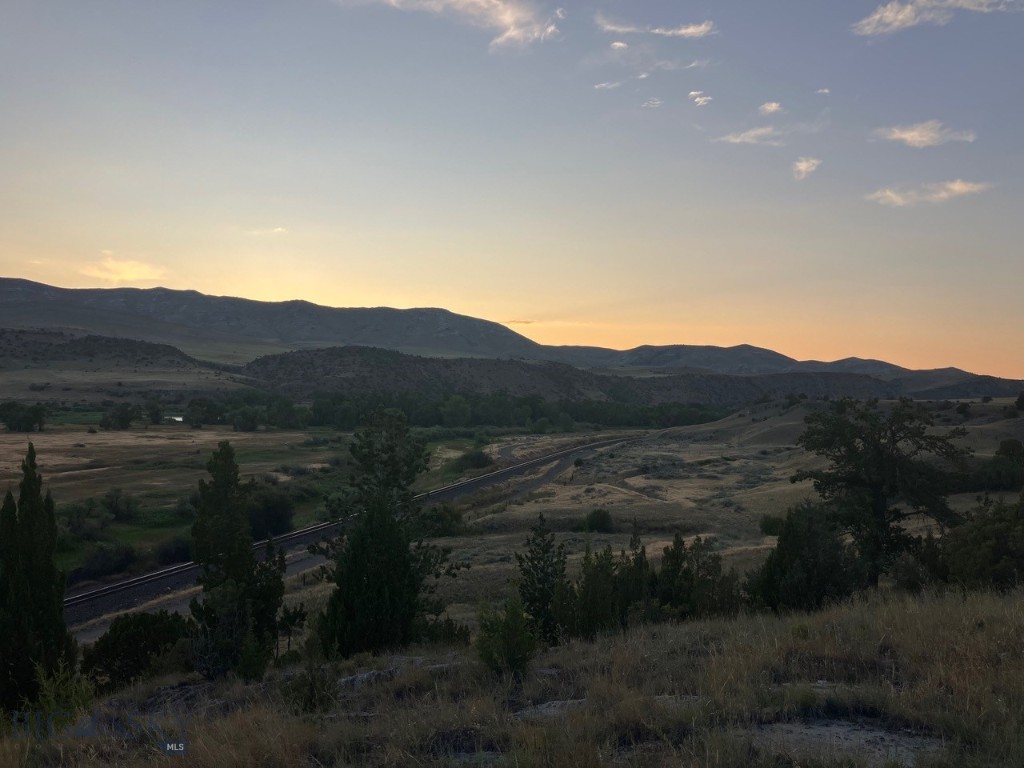 Ponderosa Pines - Land