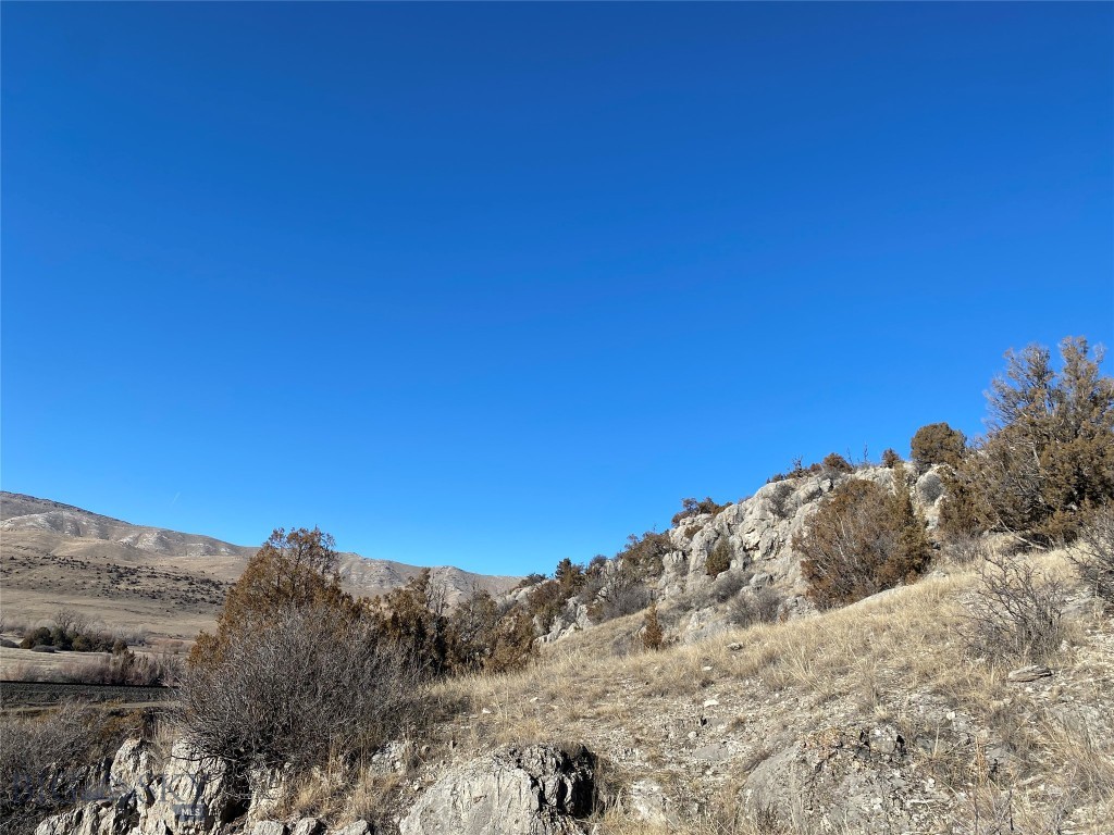 Ponderosa Pines - Land