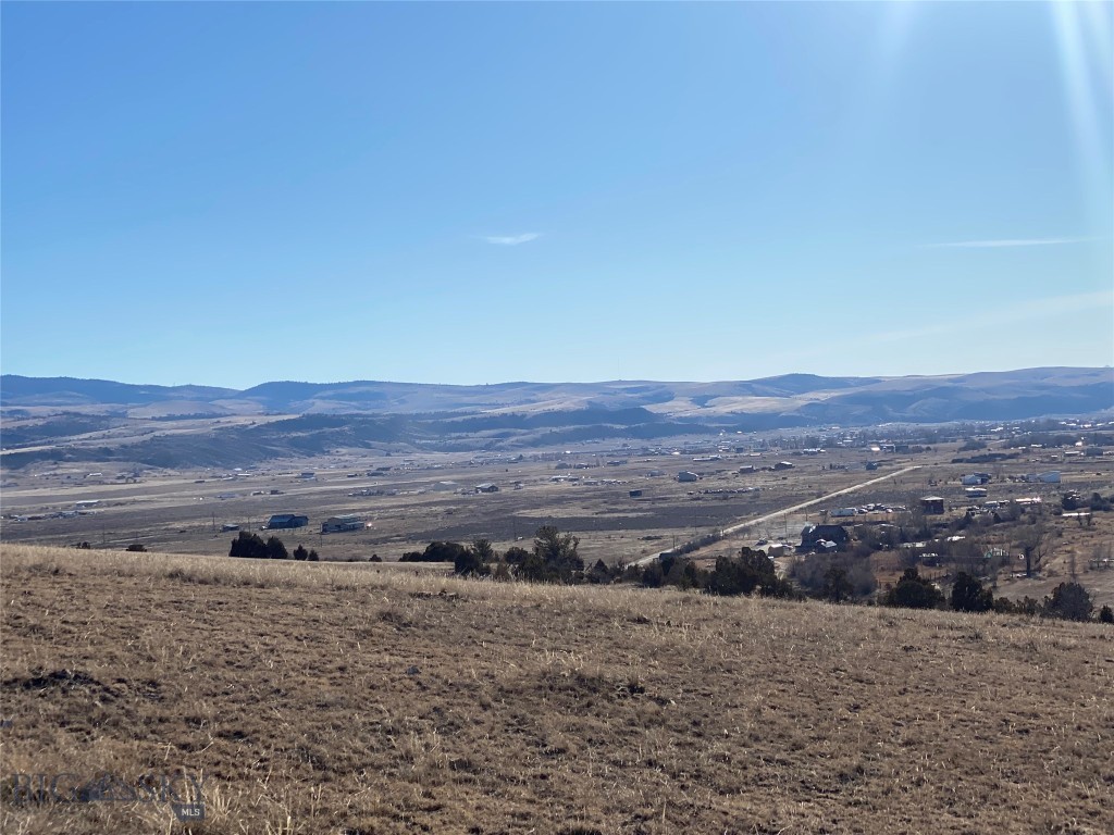 Ponderosa Pines - Land