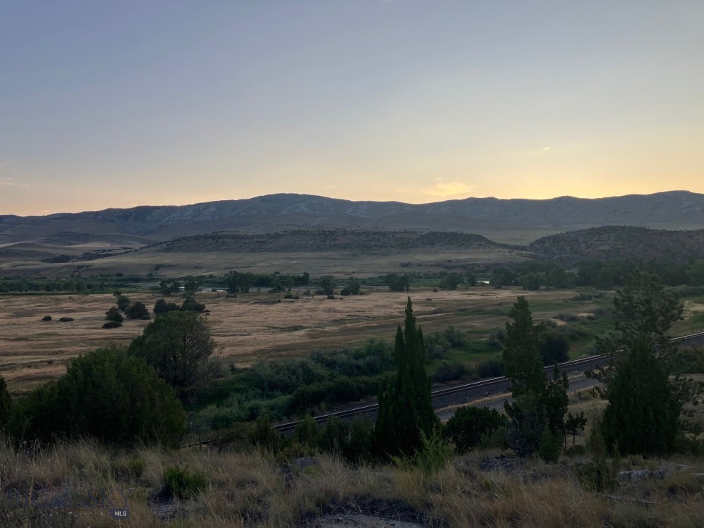 Ponderosa Pines - Land