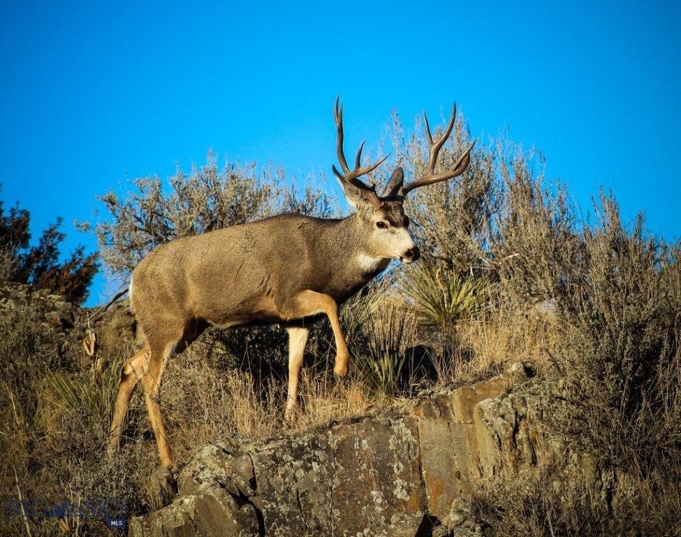 Gallatin River Ranch - Land