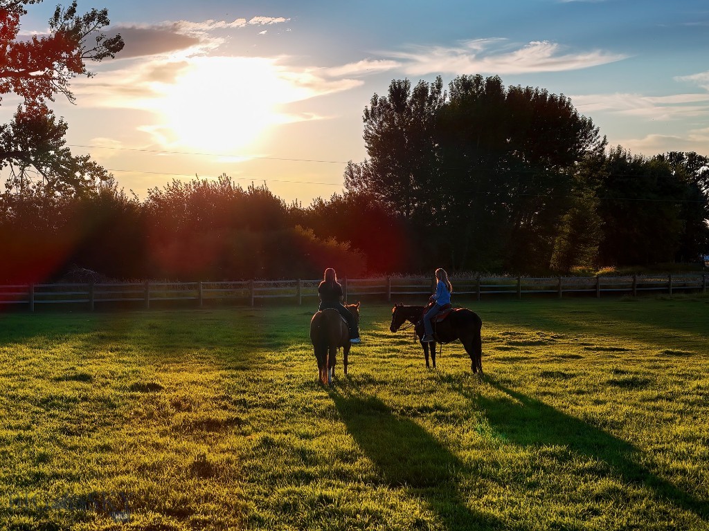 Cameron Bridge Properties - Residential