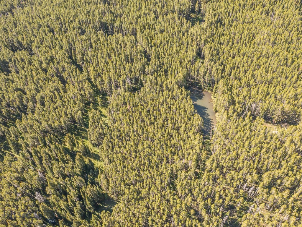 Bear Paw Ponds - Land