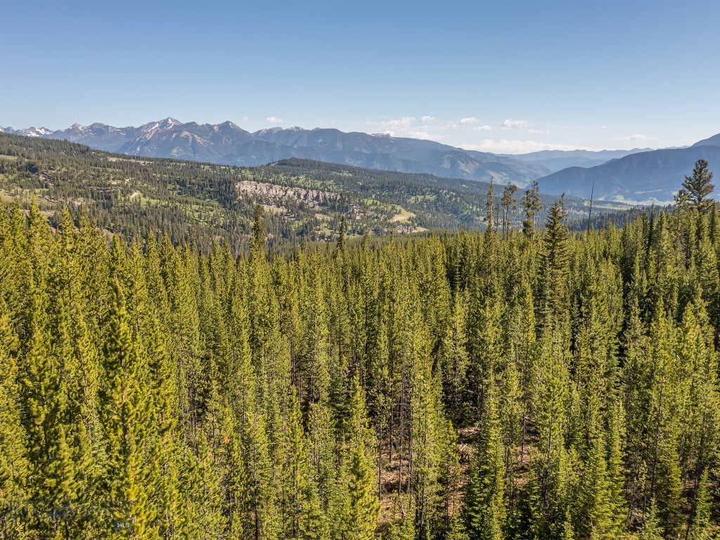 Bear Paw Ponds - Land