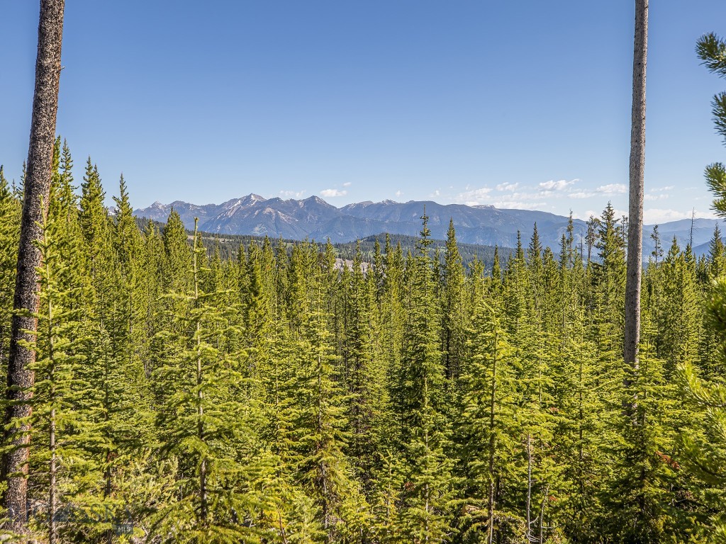 Bear Paw Ponds - Land