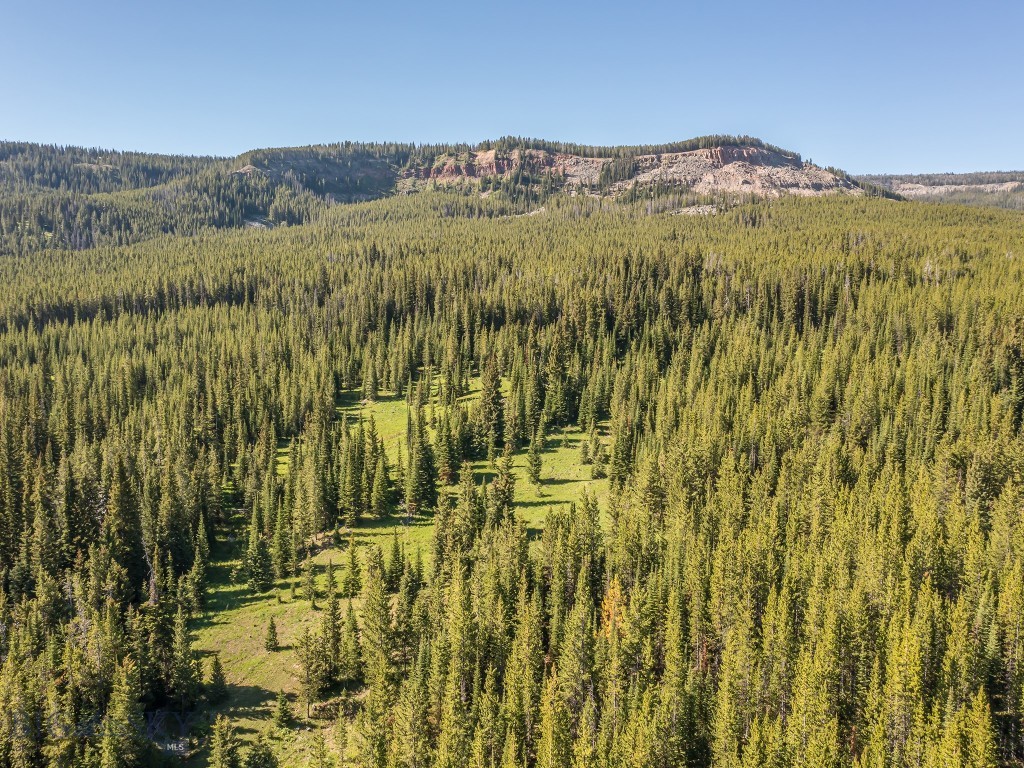 Bear Paw Ponds - Land