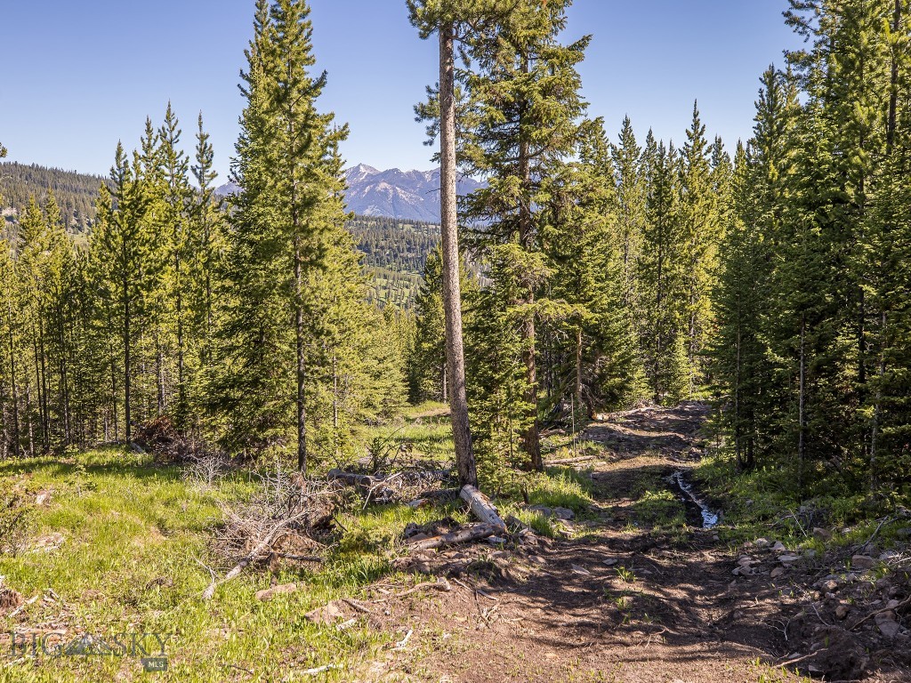 Bear Paw Ponds - Land