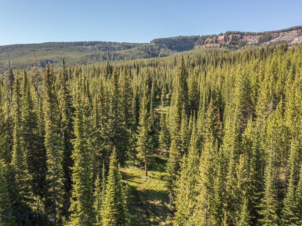 Bear Paw Ponds - Land