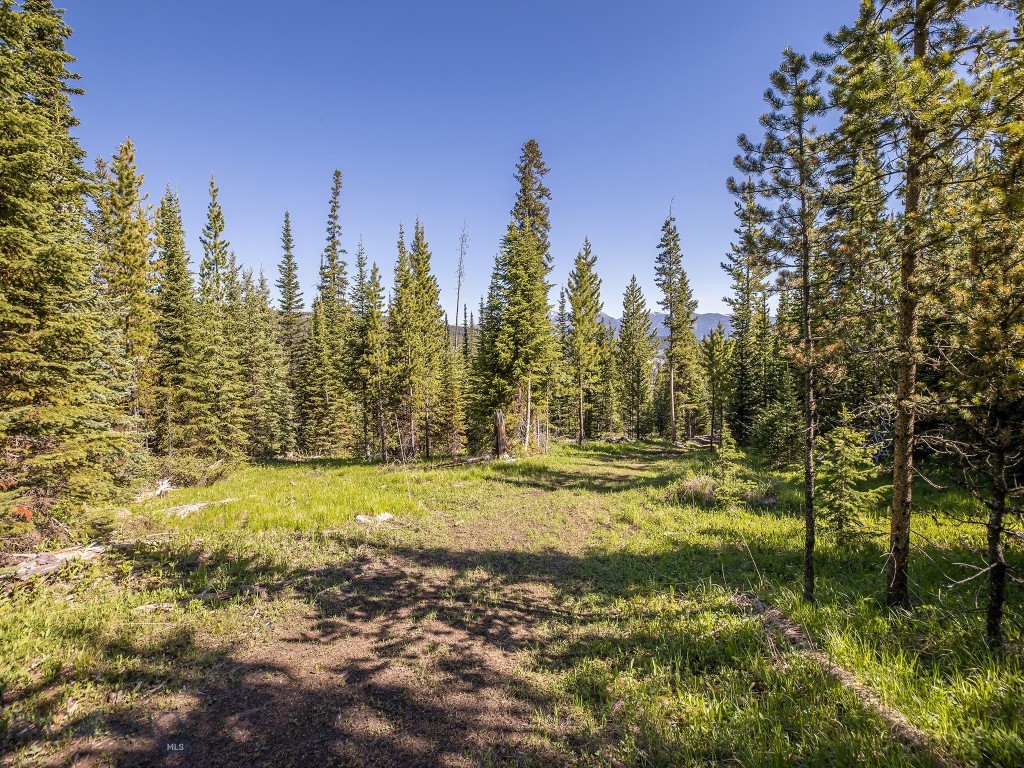 Bear Paw Ponds - Land