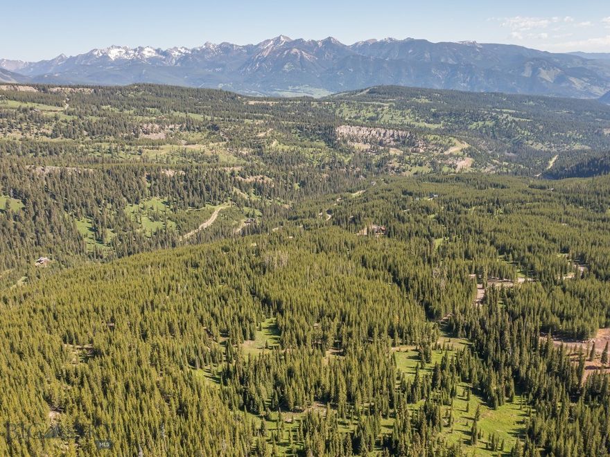 This lot is gently sloping with beautiful mature trees, some meadows and Spanish Peaks vistas. There is live water on the lot, access to a lovely small pond just off the south property line and unlimited recreational opportunities in the adjacent Gallatin National Forest. Snowmobile, snow shoe, x country ski, hunt, hike through your own private backcountry playground. Enjoy skiing on the HOA groomed trails that wind through the subdivision. Owners may keep horses from May 1 to November 1. Enjoy seclusion and end of the road privacy on one of two homesites and still be just minutes to Highway 191, Ophir School, the Gallatin River, Meadow Village and Big Ski skiing.