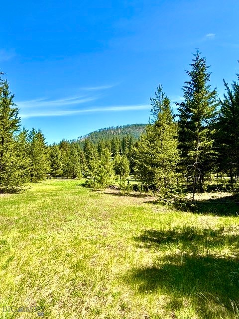 Other - Land