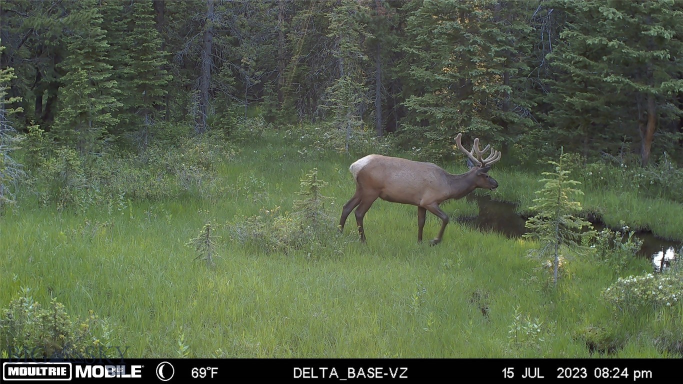 nhn Jack Creek