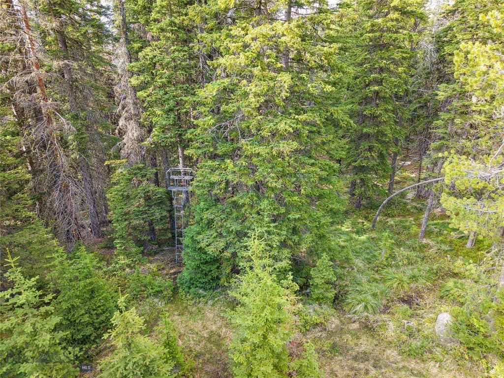 nhn Jack Creek
