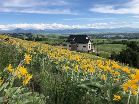 3495 Deer Creek Bozeman MT 59715