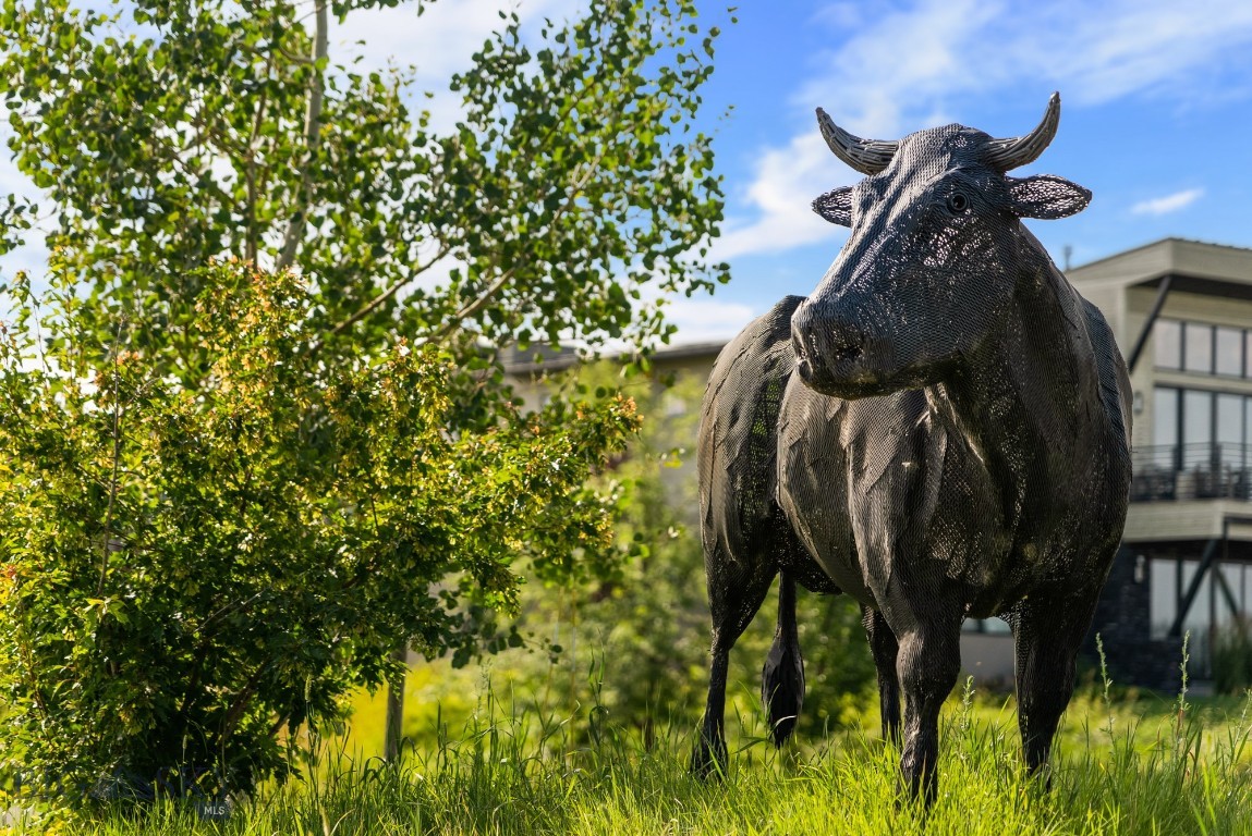 Black Bull Golf Community - Land