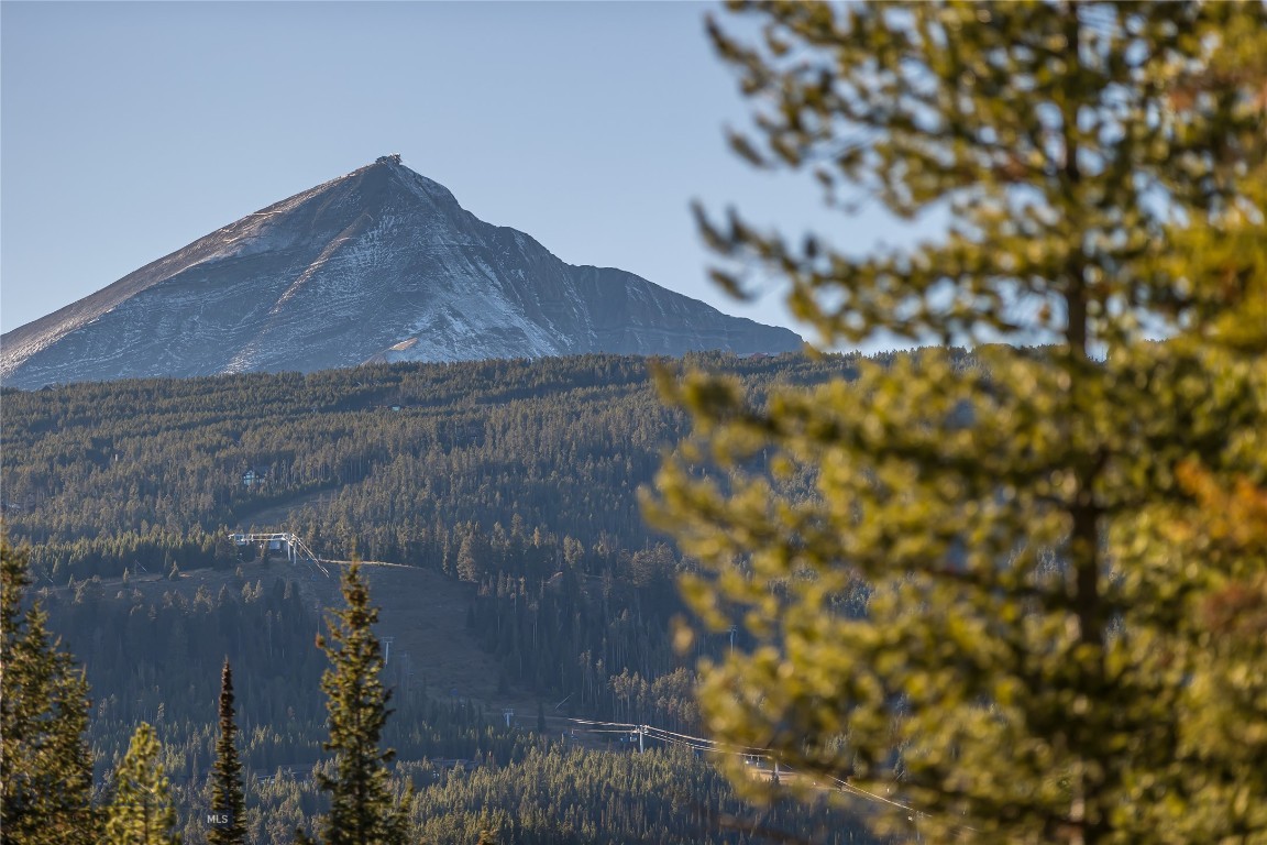 Wildridge Neighborhood - Land