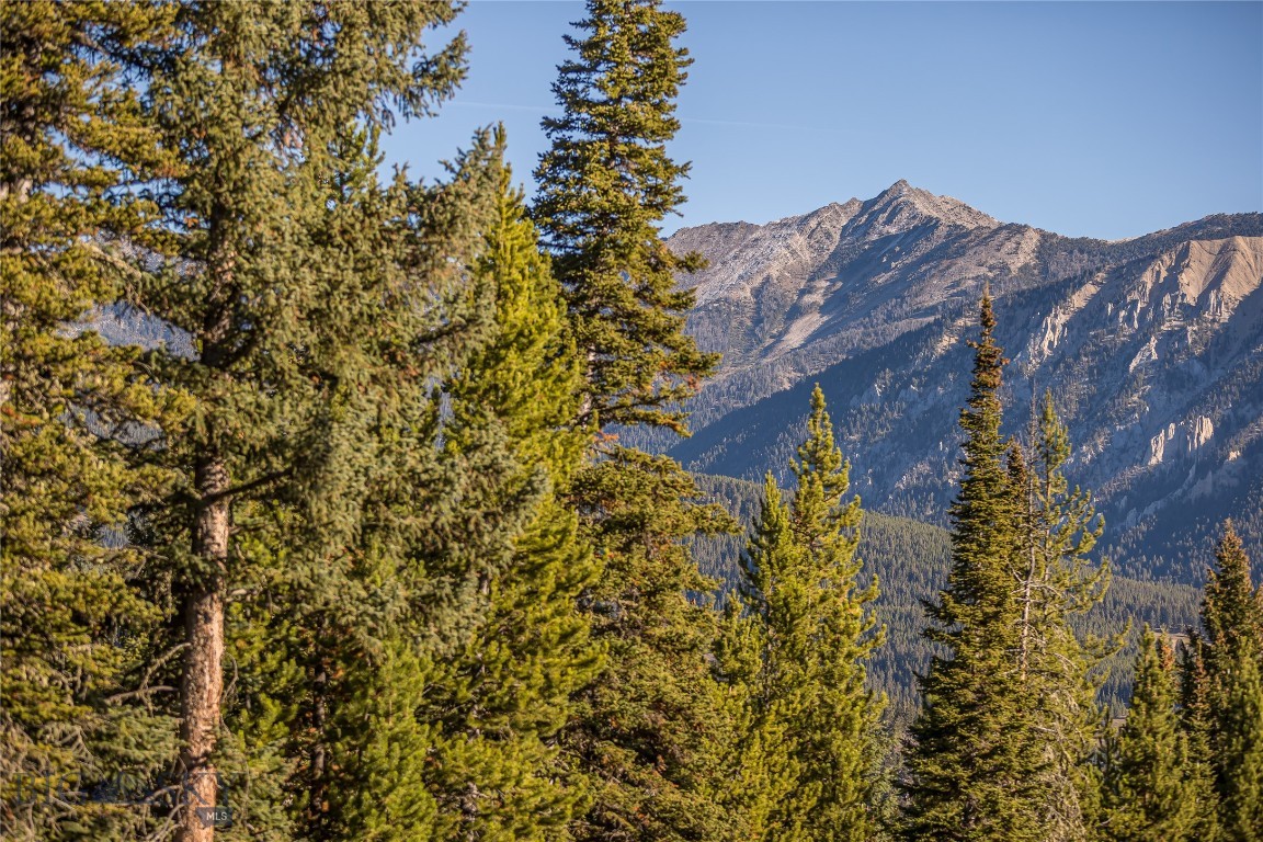 Wildridge Neighborhood - Land