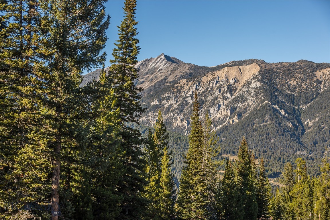 Wildridge Neighborhood - Land