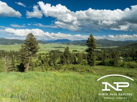 Ranch 11 North Pass Ranches Bozeman MT 59715