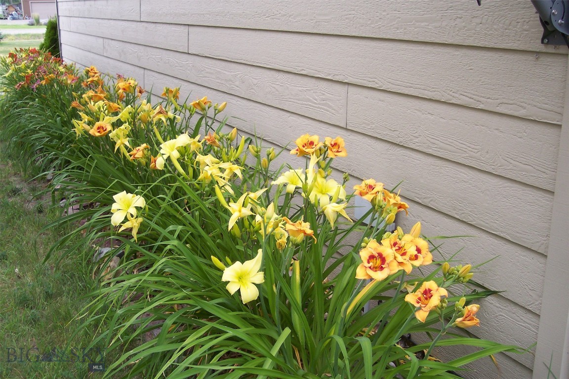 Lazy Acres - Residential