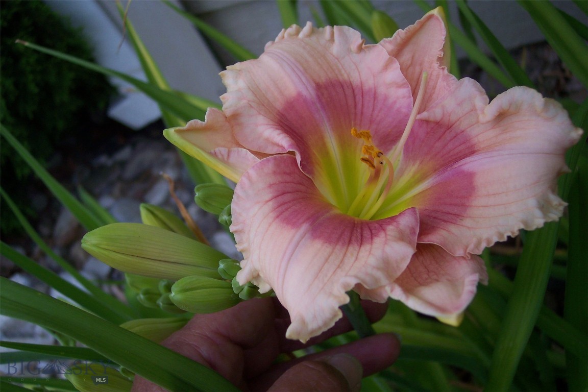 Lazy Acres - Residential